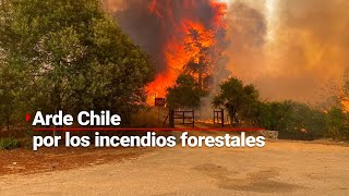 ¡Arde Chile  Incendios Forestales DEVASTAN Valparaíso [upl. by Aihsekram751]