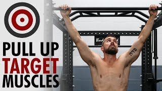 Pull Up Variations and Muscles Worked [upl. by Airla]