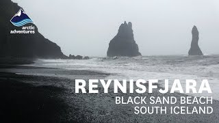 Reynisfjara Black Sand Beach Iceland [upl. by Yonah]