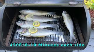 Grilled Greek Whole Branzino Fish on the Traeger Grill [upl. by Anilev753]