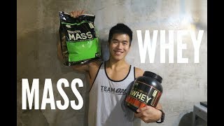 WHEY PROTEIN or MASS GAINER Tips for Beginner [upl. by Ameline]