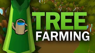 Complete Tree Farming Guide for OSRS [upl. by Nalyak]