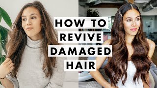 How to Fix Damaged Hair [upl. by Yule]