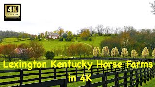 Lexington Kentucky Horse Farms in 4K [upl. by Neerihs]