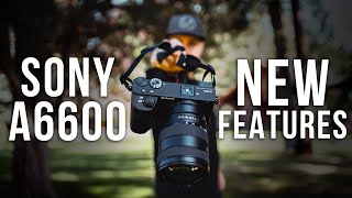 Sony a6600  5 NEW FEATURES vs a6400 amp a6500 [upl. by Nereids711]