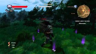 The Witcher 3 How to Kill Jenny O The Woods TutorialLets Play on Deaths March Difficulty [upl. by Aisorbma]