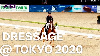 Dujardin Dufour Werth amp Co The Dressage teams at Tokyo 2020 [upl. by Jamilla]