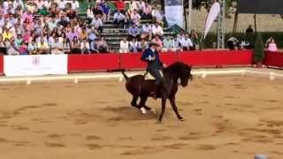 RAFAEL ARCOS GANADOR CAMPEONATO DE ESPAÑA DOMA VAQUERA 2014 [upl. by Courtland]