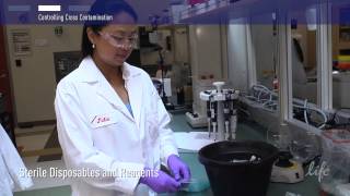 How to Control Contamination in PCR lab [upl. by Halas411]