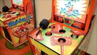 Whac A Mole Arcade Game Rentals  IL IN IA WI MI MO MN OH [upl. by Jard]