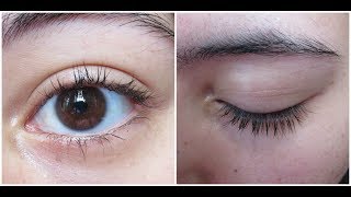 Does Vaseline really help your eyelashes and eyebrows grow [upl. by Janiuszck697]