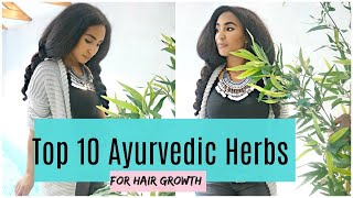 Top 10 Ayurvedic Herbs For Hair Growth  Hair growth challenge [upl. by Yessydo77]