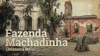 A SENZALA ESTÁ DE PÉ E A CASA GRANDE CAIU FAZENDA MACHADINHA [upl. by Nawaj]