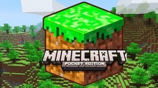 Minecraft PS3 EditionDemo Gameplay [upl. by Doley]