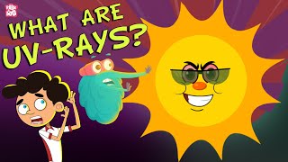 ULTRAVIOLET RAYS  How Harmful Are UV Rays  Ultraviolet Radiation  Dr Binocs Show  Peekaboo Kidz [upl. by Sonitnatsnoc]