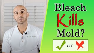 Does Bleach Kill Mold Watch This Before You Use It [upl. by Aneala]