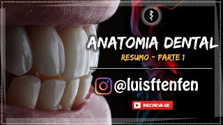 Anatomia Dental RESUMO Parte 1 [upl. by Tsepmet]