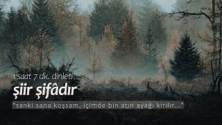 şiir şifâdır  en sevilenler 1 saat dinleti [upl. by Gilbertine]