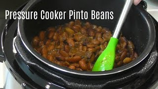 Pressure Cooker Pinto Beans  No Soak Quick Cook Beans  Cosori 2 Quart Electric Pressure Cooker [upl. by Anolla329]