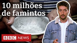 Como o Brasil que alimenta 1 bilhão no mundo tem 10 milhões passando fome [upl. by Rozalin]