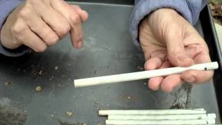 Opening Mason Bee Nesting Straws Part One [upl. by Wilfred]