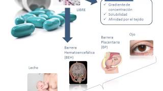 Tema 3 FARMACOCINÉTICA Distribución [upl. by Salchunas377]