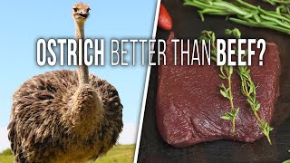 How to Cook OSTRICH STEAKS  Is Ostrich Better Than Beef [upl. by Izy]