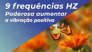 PODEROSA MÚSICA PARA ELEVAR VIBRAÇÃO POSITIVA  9 frequências Hz [upl. by Ainotahs]