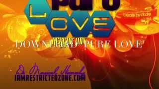 Download Pure Love Reggae Mix Full Album 30 Tracks [upl. by Nuahs825]