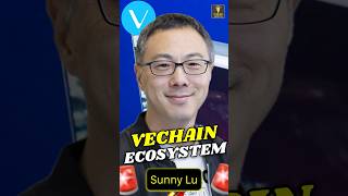 🚨 VECHAINS BIG ECOSYSTEM PLANS FOR 2025 [upl. by Klaus]