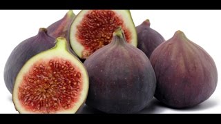 HOW TO GROW FIGS IN A CONTAINER OR POT [upl. by Hester]