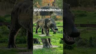 Andrewsarchus [upl. by Abdella]