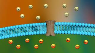 Mechanism of action of digoxin [upl. by Lati321]