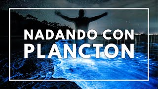 Nadando con Plancton Bioluminiscente en Barú Colombia [upl. by Hines]