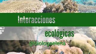 Interacciones biológicas  ecológicas [upl. by Atnwahs]