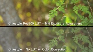 Canon 80D with Cinestyle  REC 709 LUT Final Cut Pro Tutorial [upl. by Braca]