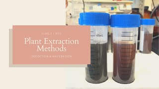 Plant Extraction Methods  Decoction and Maceration  JPTV [upl. by Glenine136]