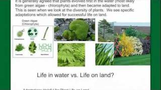 Introduction to Plant Diversity [upl. by Aihpos]