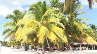 Lîle Saona  île tropicale de la mer des Caraïbes [upl. by Moriarty522]