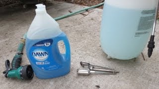 IMPROVED Soapy Water Insecticide Spray Dawn Dish Soap [upl. by Ainedrag]