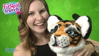 FurReal Roarin Tyler The Playful Tiger from Hasbro [upl. by Anayi]