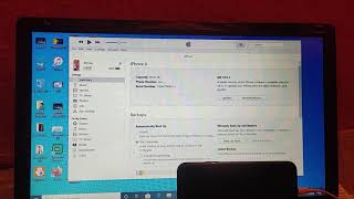 How to Transfer Files From IOS to PC using iTunes Copy Pictures and Videos From iPhone to Computer [upl. by Gnok935]