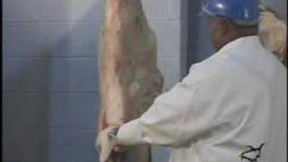 Beef Carcass Break Down 1  butcher [upl. by Atinot]