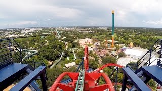 SheiKra Front Row POV Ride at Busch Gardens Tampa Bay on Roller Coaster Day 2016 Dive Coaster [upl. by Aihsit]