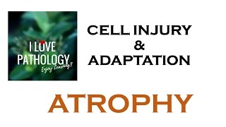 CELL INJURY amp ADAPTATIONS PATHOLOGY ATROPHY [upl. by Thibaut888]