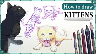 How to draw KITTENS  Art Tutorial [upl. by Erihppas586]