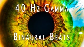 Gamma Wave Binaural Beats 40Hz  WARNING Super Intense  15 Minutes Advanced Thinking and Focus [upl. by Naeruat916]