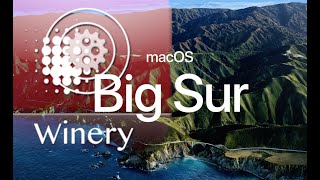 Run Windows App under MacOs big sur by wineskin  2021 Mar Detailed [upl. by Lorrie]