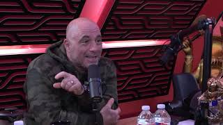 Joe Rogan  Advice on Podcasting and Living [upl. by Sarson347]