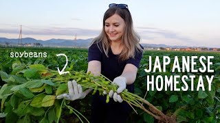 My Japanese Farm Homestay Experience 🌾 [upl. by Mulac]